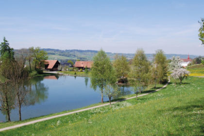 Weiher in Büron