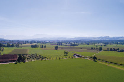 Aussicht Büron