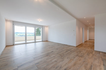 MFH Büron 4.5 Zimmer Wohnung