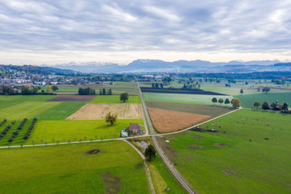MFH Büron